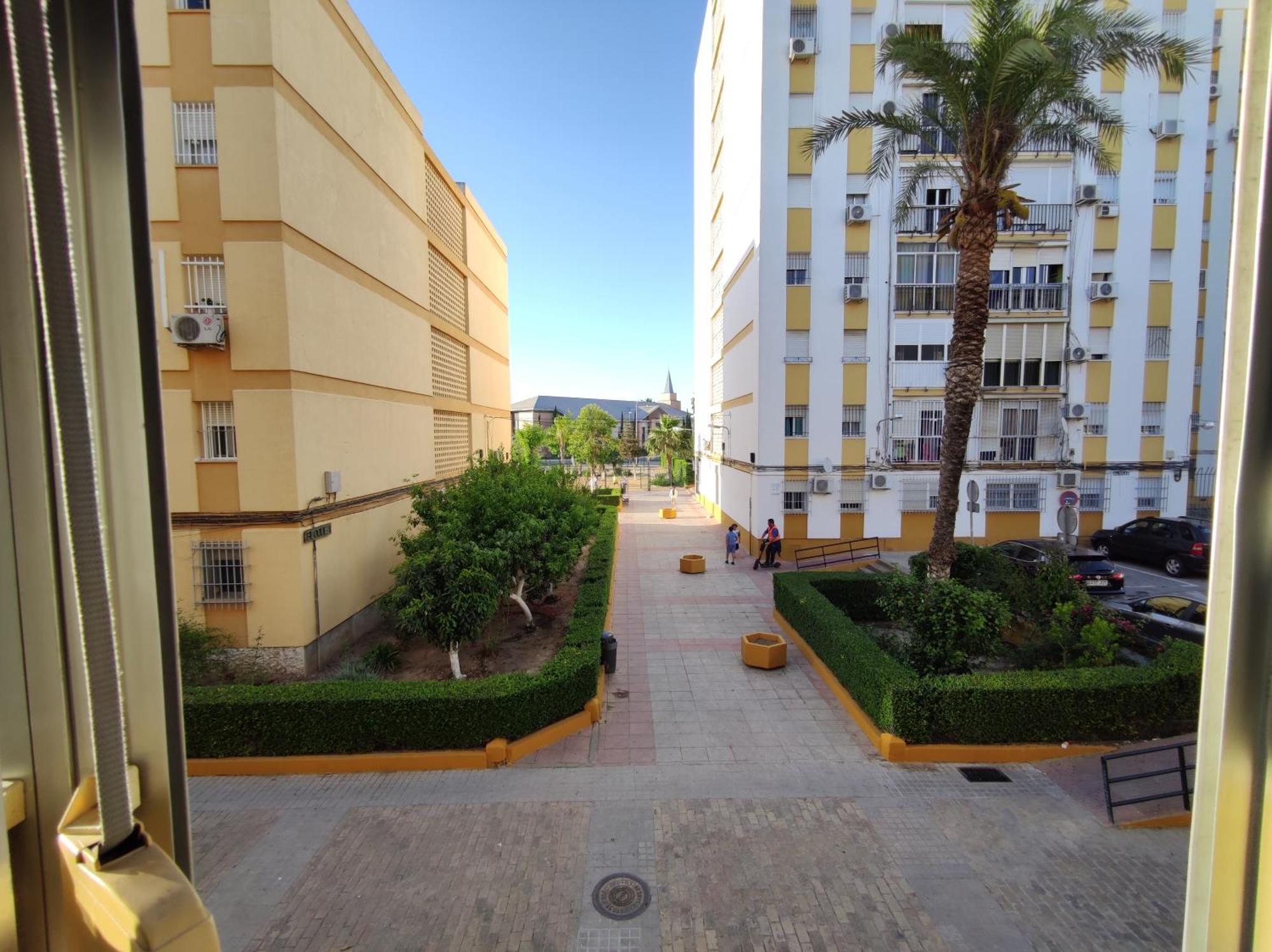 Apartamento Celia Sevilla Buitenkant foto