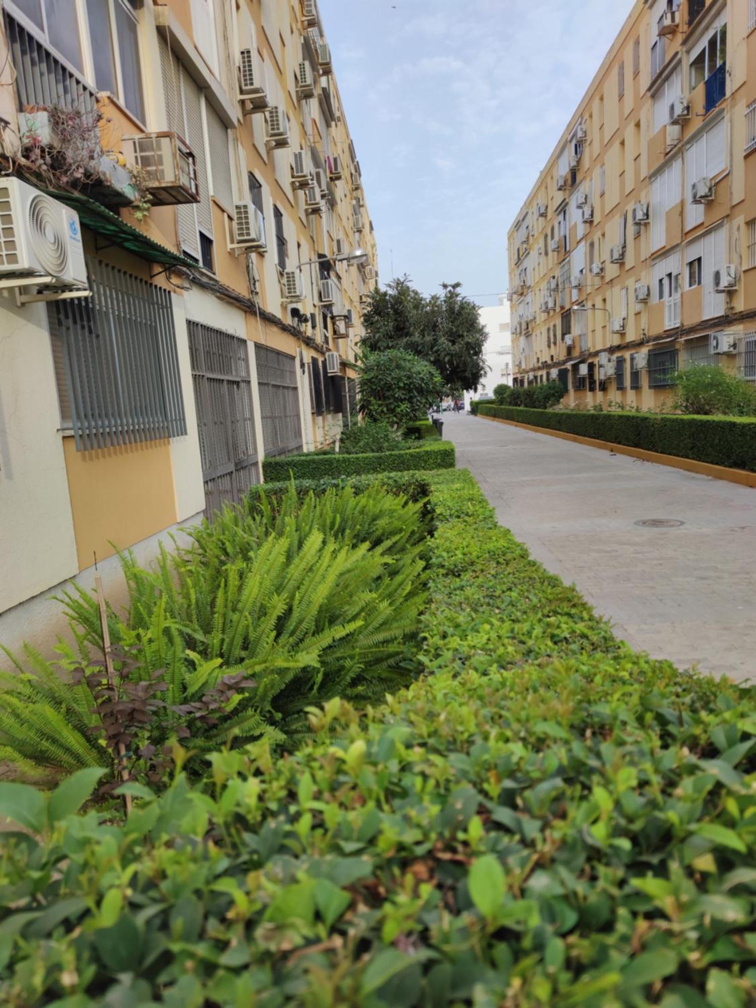 Apartamento Celia Sevilla Buitenkant foto